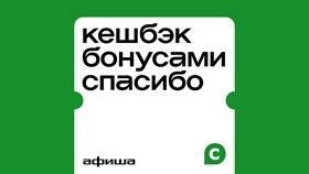 Что можно приобрести за бонусы СберСпасибо в Бифри
