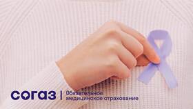 Что оплачивает страховая компания СОГАЗ в Бифри