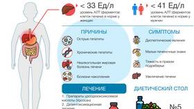 Диффузные изменения паренхимы: что это означает в Бифри