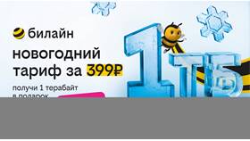 Если не оплачивать тариф Билайн: что будет