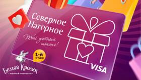 Как активировать подарочную карту DNS в Бифри