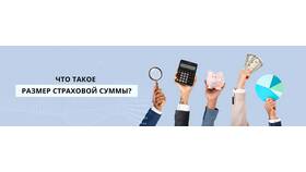 Как исчисляется страховая сумма в Бифри