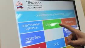 Как оформить СНИЛС через Госуслуги гражданину РФ в Бифри