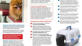 Как оформить собаку в поезд РЖД в Бифри