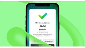 Как оплатить Мегафон в Бифри