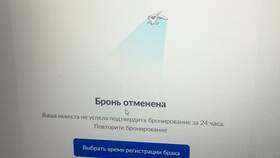 Как отменить заявление на регистрацию брака в Бифри
