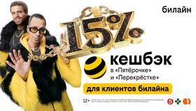 Как подключить и настроить автоплатеж в Билайн в Бифри
