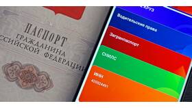 Как получить ИНН и СНИЛС в Бифри