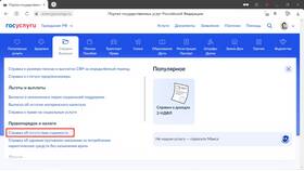 Как получить справку о несудимости через Госуслуги в Бифри