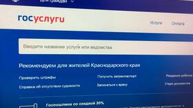 Как получить водительские права через Госуслуги в Бифри