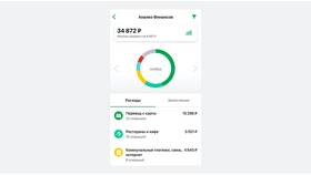 Как посмотреть расходы за месяц в Сбербанке в Бифри