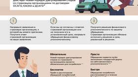 Как проверить страховые случаи в Бифри
