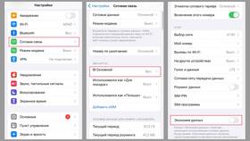 Как сбросить лимит мобильного трафика на iPhone в Бифри