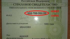 Как узнать есть ли СНИЛС в Бифри