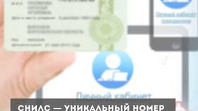 Как узнать номер СНИЛС по фамилии и имени в Бифри