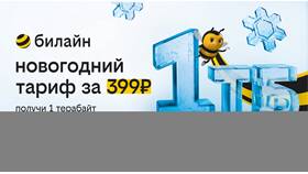 Как узнать свой пакет услуг в Билайн в Бифри