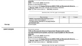 Как вернуть государственную пошлину в Бифри