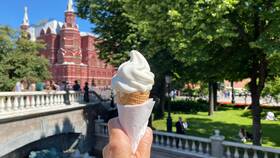 Калорийность рожка мороженого в Burger King в Бифри
