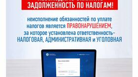 Наличие отрицательного сальдо по ЕНС: что это означает в Бифри