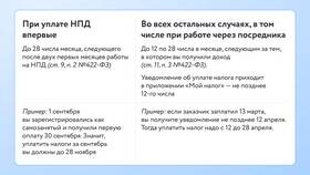 Не пришли налоги: что делать в 2024 году в Бифри