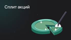 От чего зависит количество акций компании в Бифри