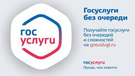 Почему Госуслуги зависли сегодня в Бифри