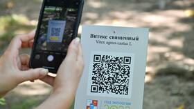 QR-коды: что дальше? Перспективы развития технологии в Бифри