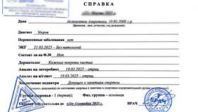 Справка о посещении детского сада в Бифри