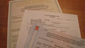 Выписка на квартиру: что это за документ в Бифри